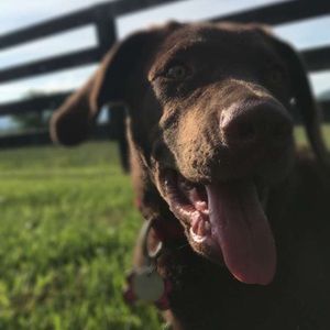 Meet your Posher, Bradley